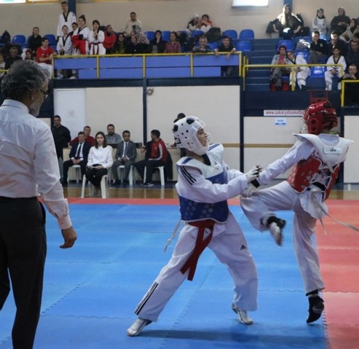 Taekwondonun Yıldızları ödüllerini aldı