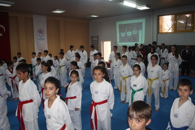 Sakaryalı Minik Taekwondocular terfi etti