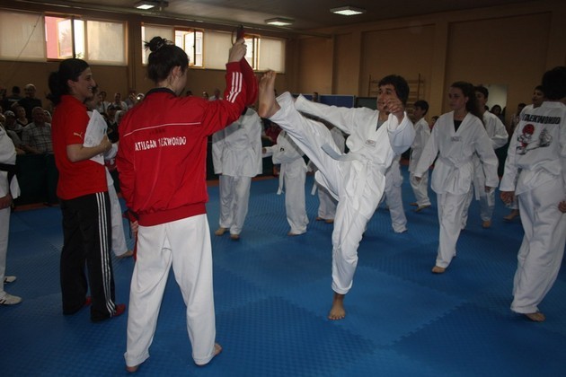 Sakaryalı Minik Taekwondocular terfi etti