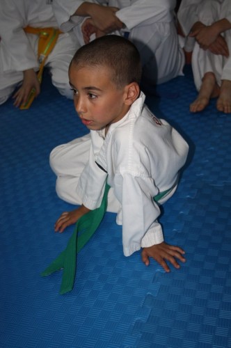 Sakaryalı Minik Taekwondocular terfi etti