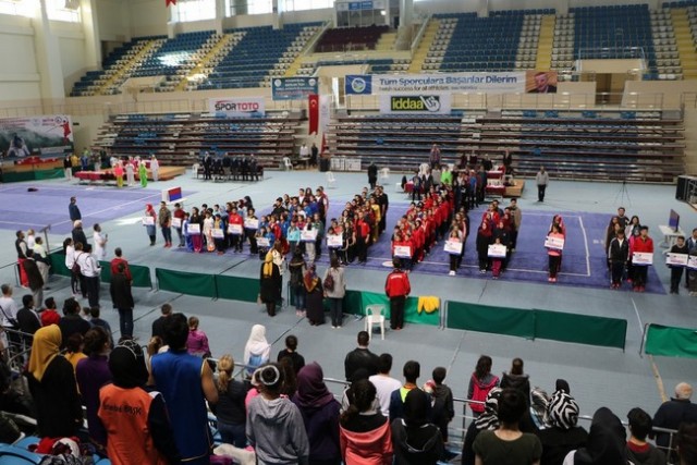 Wushu Şampiyonası Sakarya'da başladı