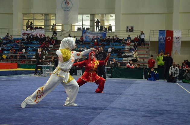 Wushu Şampiyonası Sakarya'da başladı
