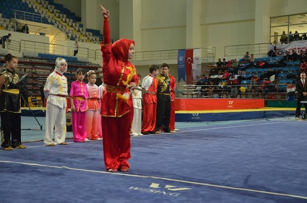 Wushu Şampiyonası Sakarya'da başladı