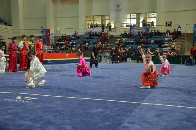 Wushu Şampiyonası Sakarya'da başladı