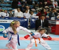 Çanakkale Şehitlerini Anma Karate Turnuvası sona erdi