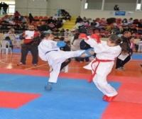 Gaffar Okkan Karate Turnuvası (2016)