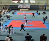 İlçeler Arası Karate Turnuvası Düzenlendi
