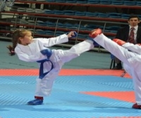 İller arası karate ligi