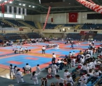 Karate Lig Finali Sakarya'da yapıldı