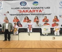 Geyve ilçesi Karate takımlarından 32 Madalya..