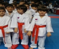 Kobaş Karate'den 43 madalya