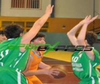 Ormanspor : 34 – Sakarya Yıldızlar : 74