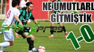 Ayvalıkgücü Belediye-Sakaryaspor:1-0
