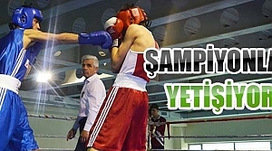 Boksta Şampiyonlar Yetişiyor