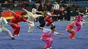 Wushu Şampiyonası Sakarya'da başladı